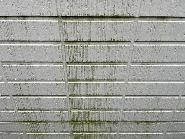 汚れ・カビ・コケ